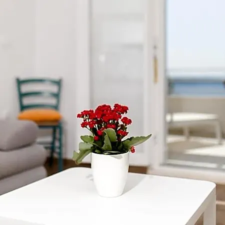 Ξενοδοχείο Stella Mare Eco Boutique House